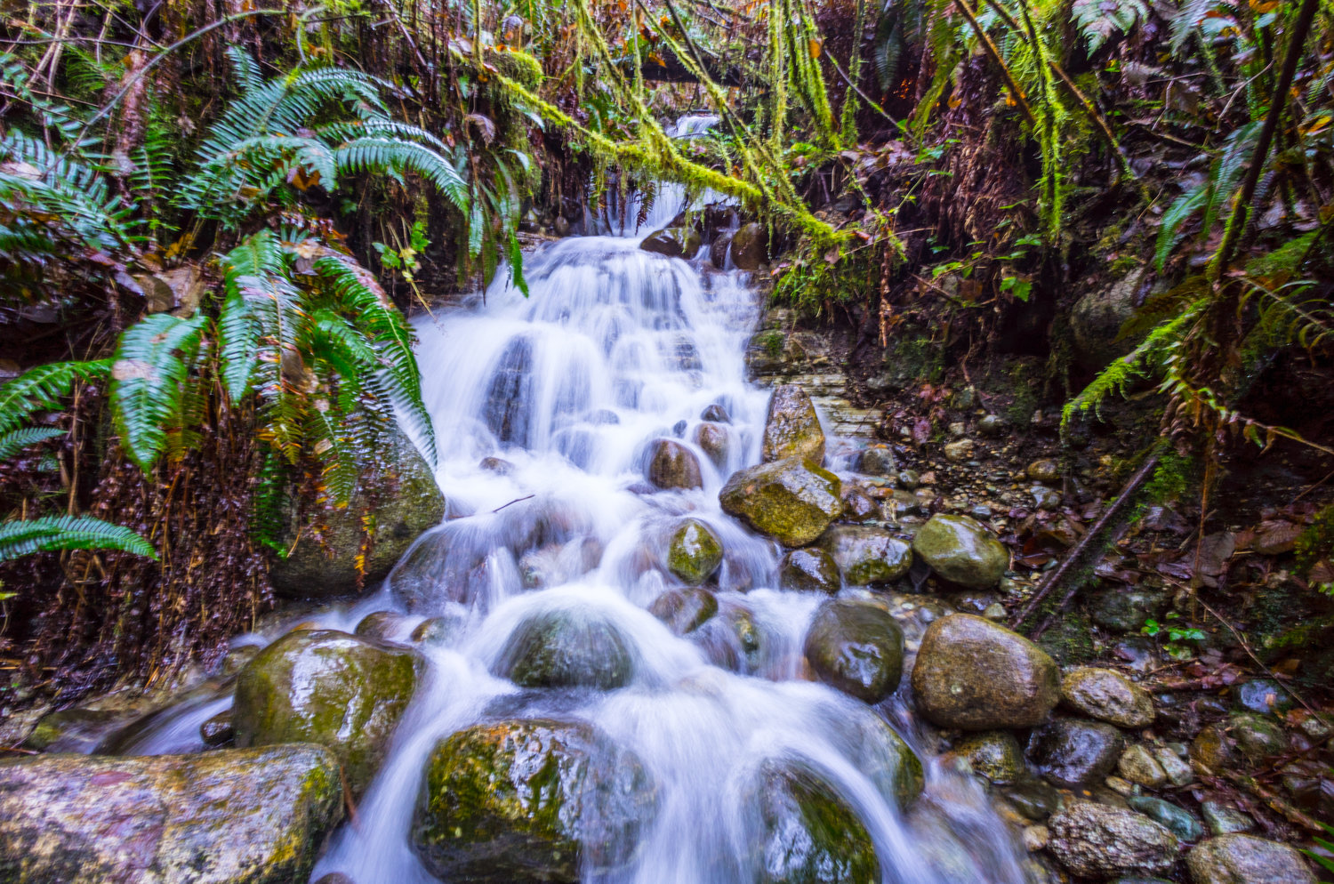 Voigtlander 12mm f/5.6 lens review - Leica T camera - Wide angle lens photography