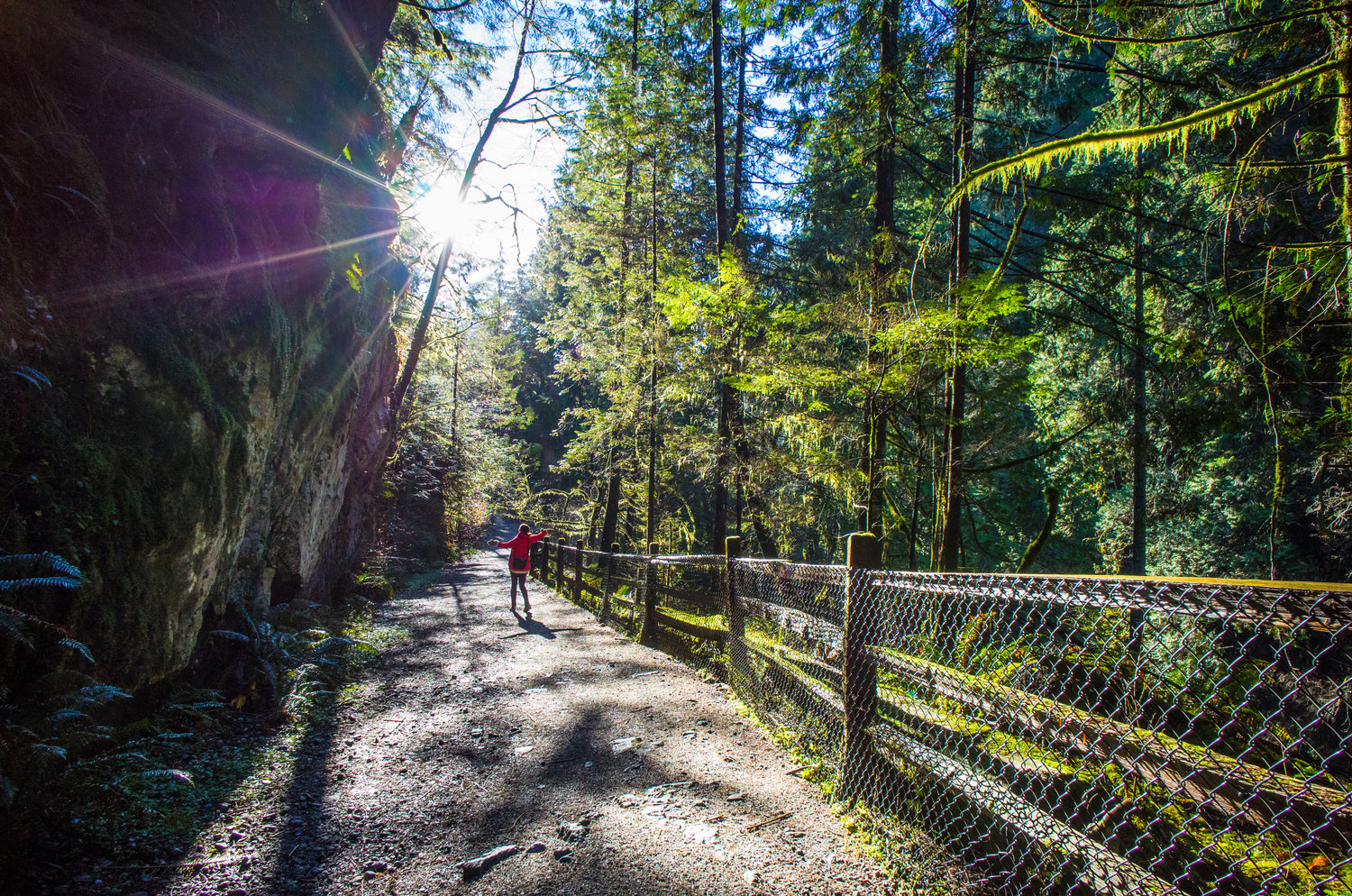 Voigtlander 12mm f/5.6 lens review - Leica T camera - Wide angle lens photography